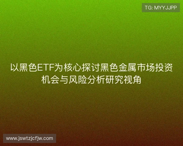 以黑色ETF为核心探讨黑色金属市场投资机会与风险分析研究视角